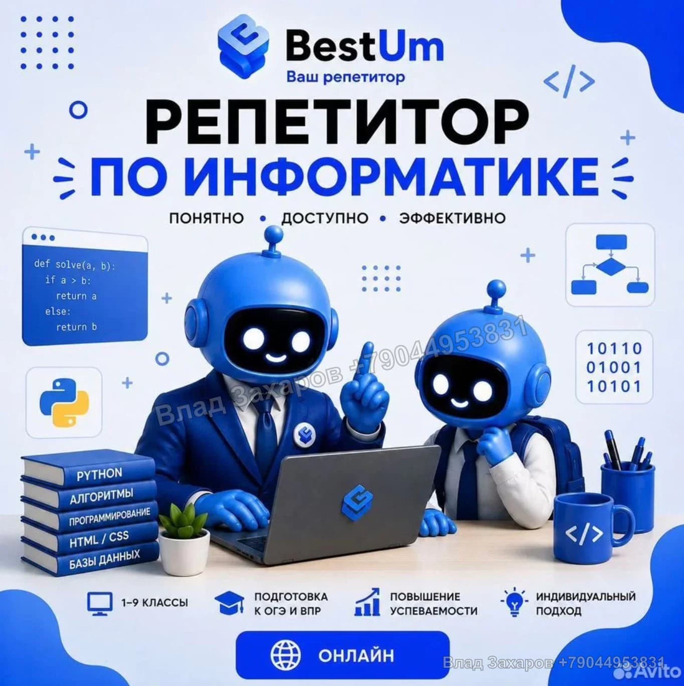 Объявление: информатика — кейс продвижения на Авито